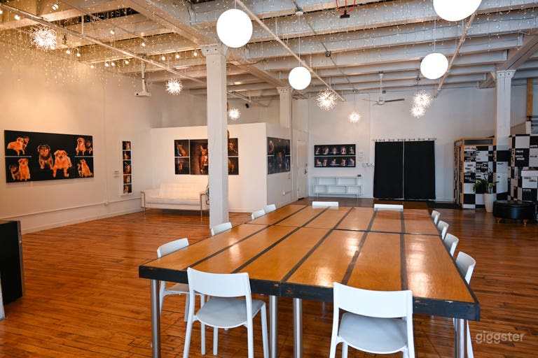  Stunning Chicago Penthouse Loft with Skyline Views 