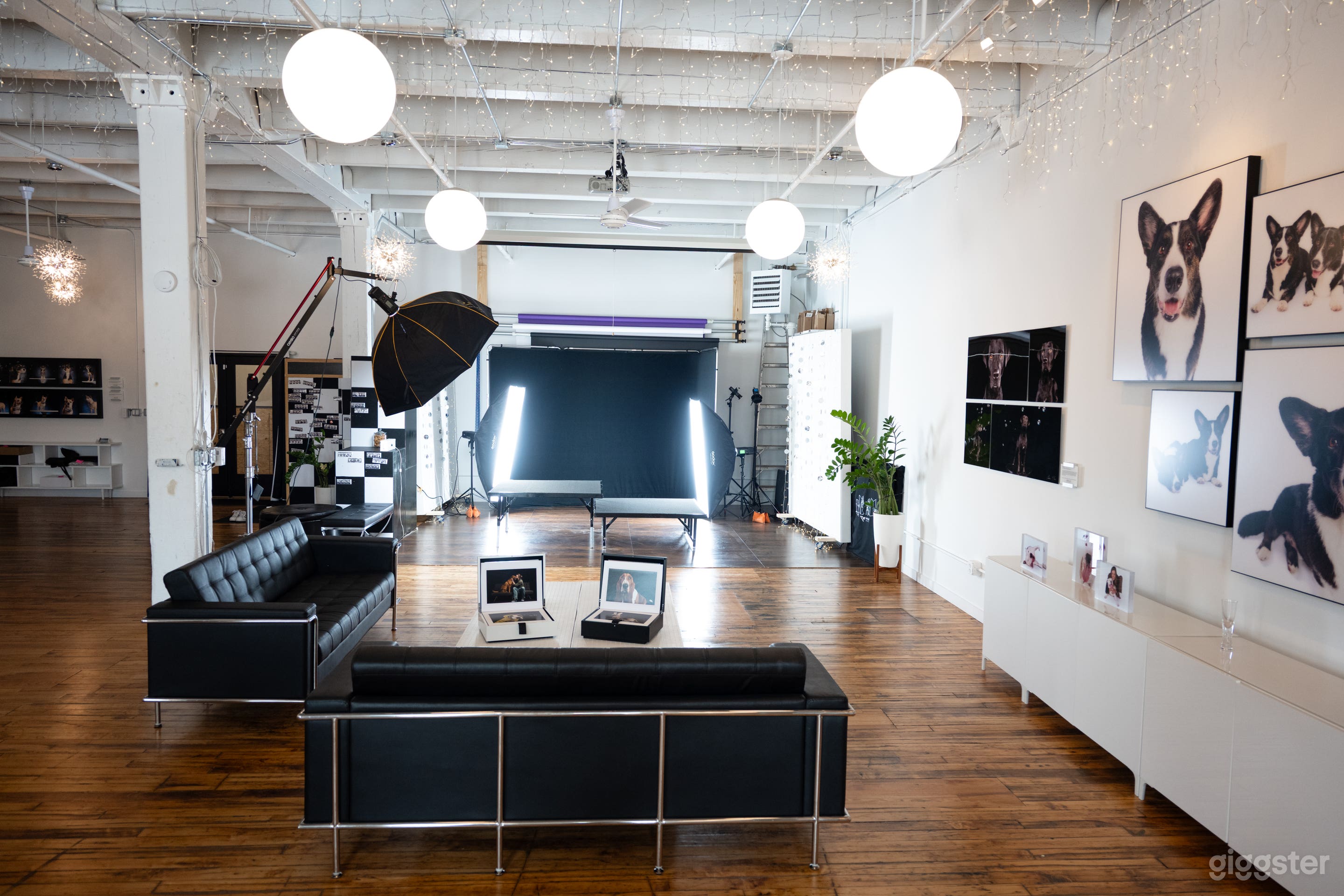 Stunning Chicago Penthouse Loft with Skyline Views Photo 1