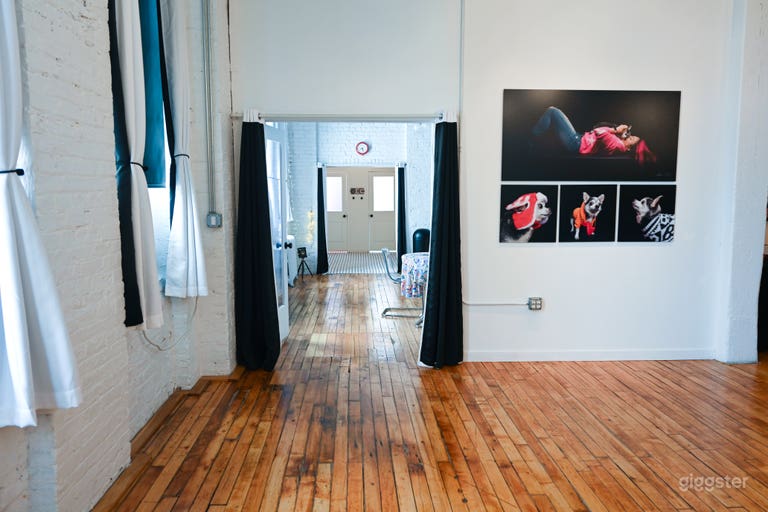  Stunning Chicago Penthouse Loft with Skyline Views 