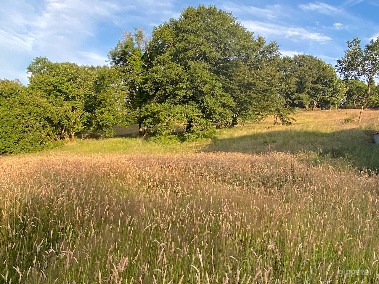 level of field from open gate