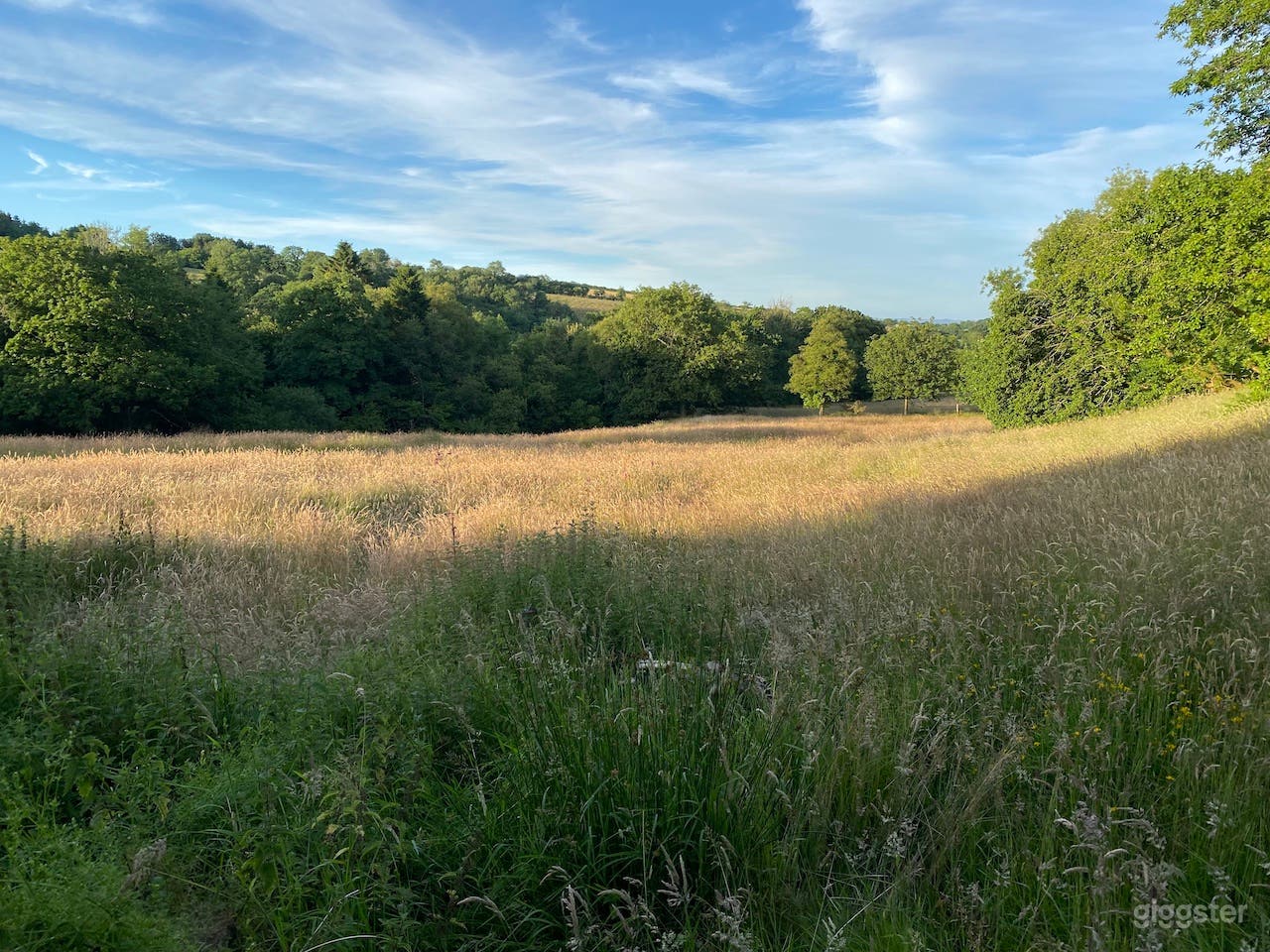 Wonderfully uncut field perfect for anyone doing a period farming scene.  Plowable/grass-cutting if necessary and part of scene.