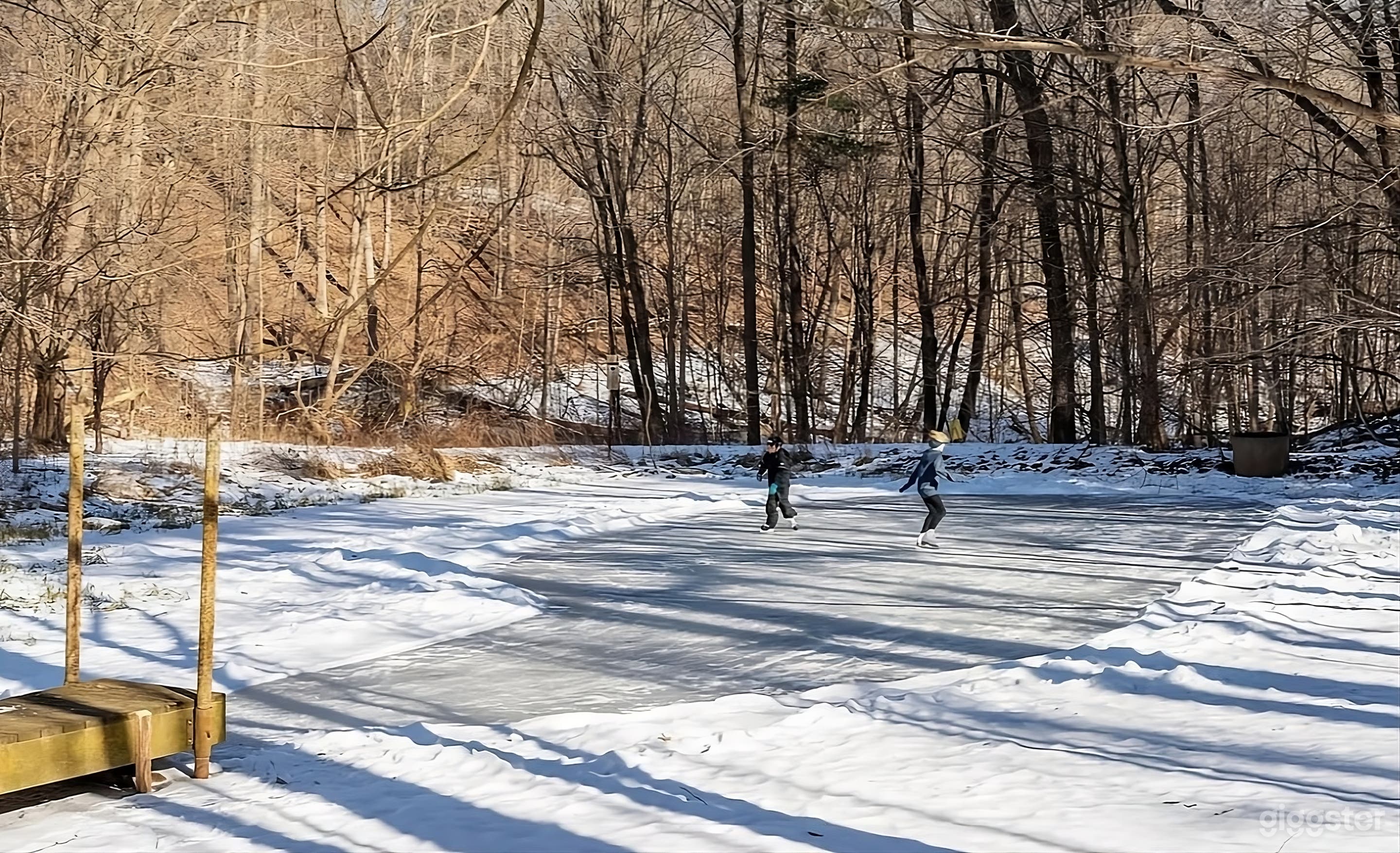 Expansive Backyard Oasis Photo 1