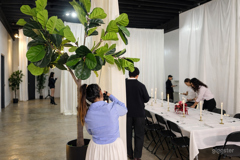  3000 sqft Beautiful and Versatile Space 