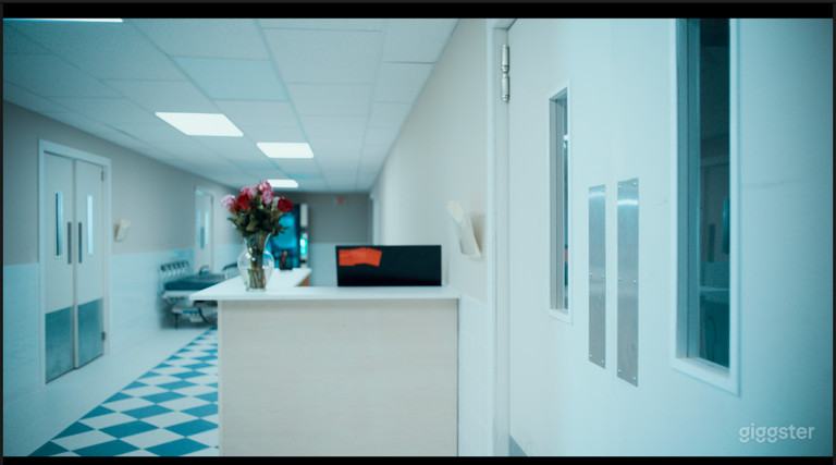  Full serviced Hospital Horror Production 