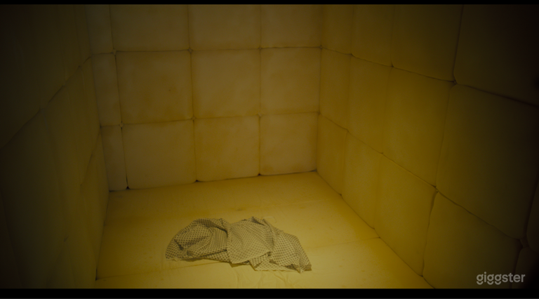  Full serviced Hospital Horror Production 