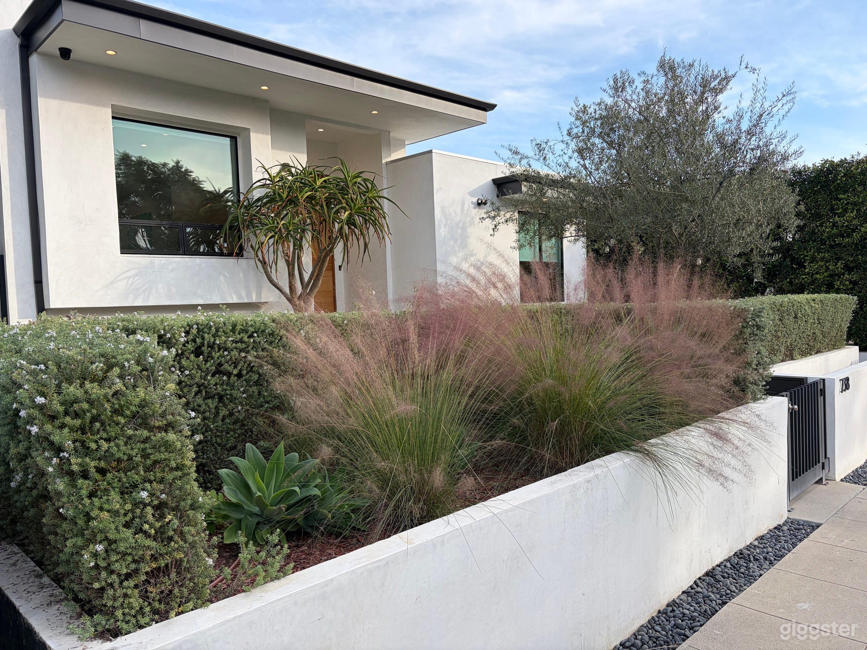 THE HOLLYWOOD HOUSE Photo 1