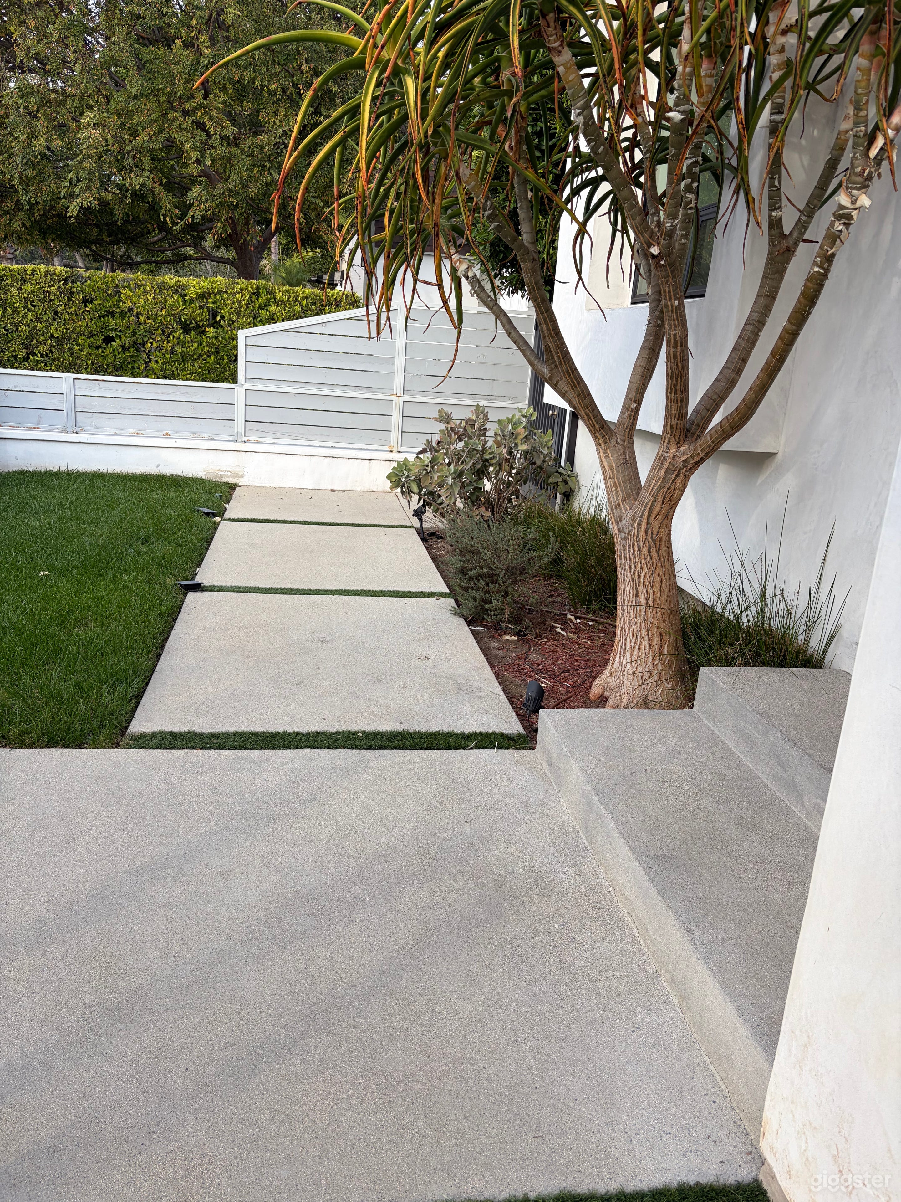 THE HOLLYWOOD HOUSE Photo 4