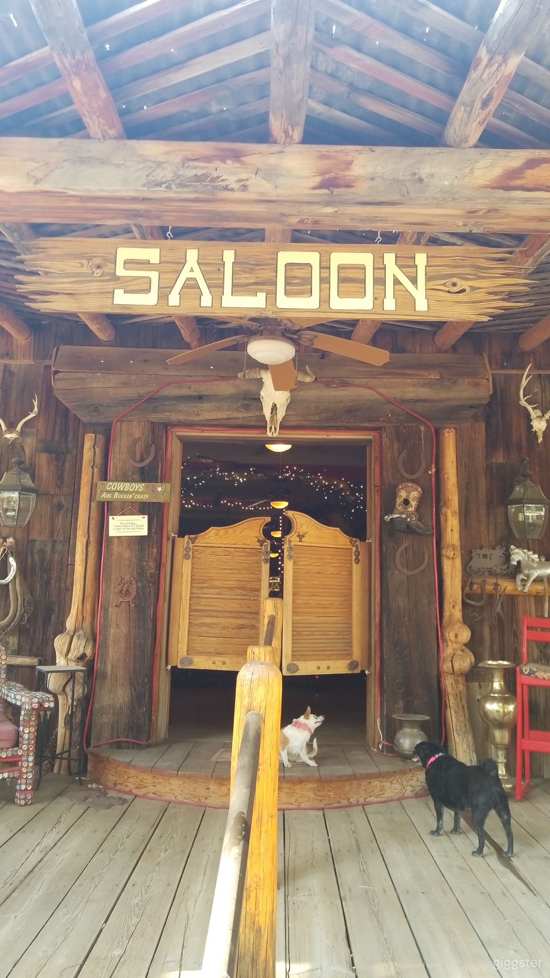 Draft Horse Saloon