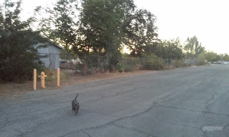  Side street with access to the back yard - dog not to scale. 