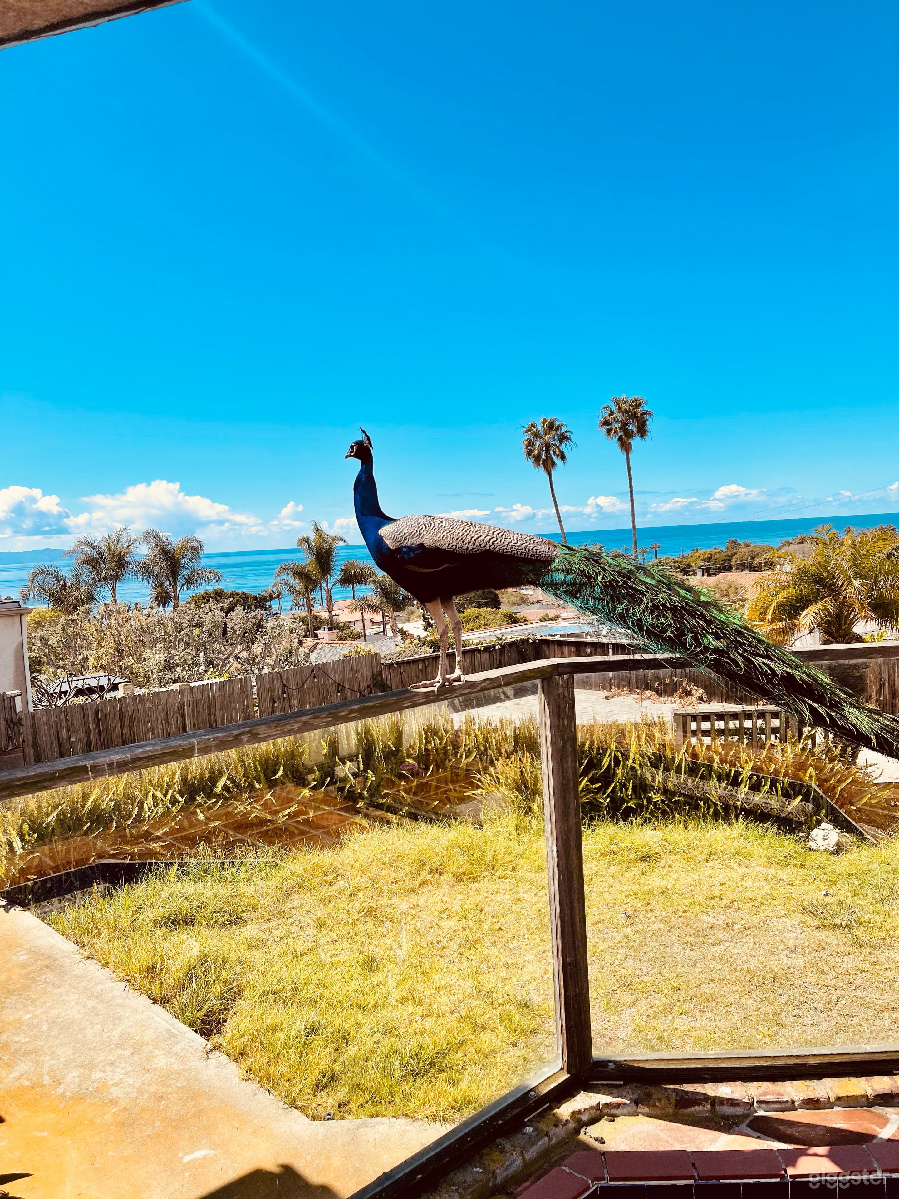 Amazing Ocean view on 2 outdoor decks Photo 2