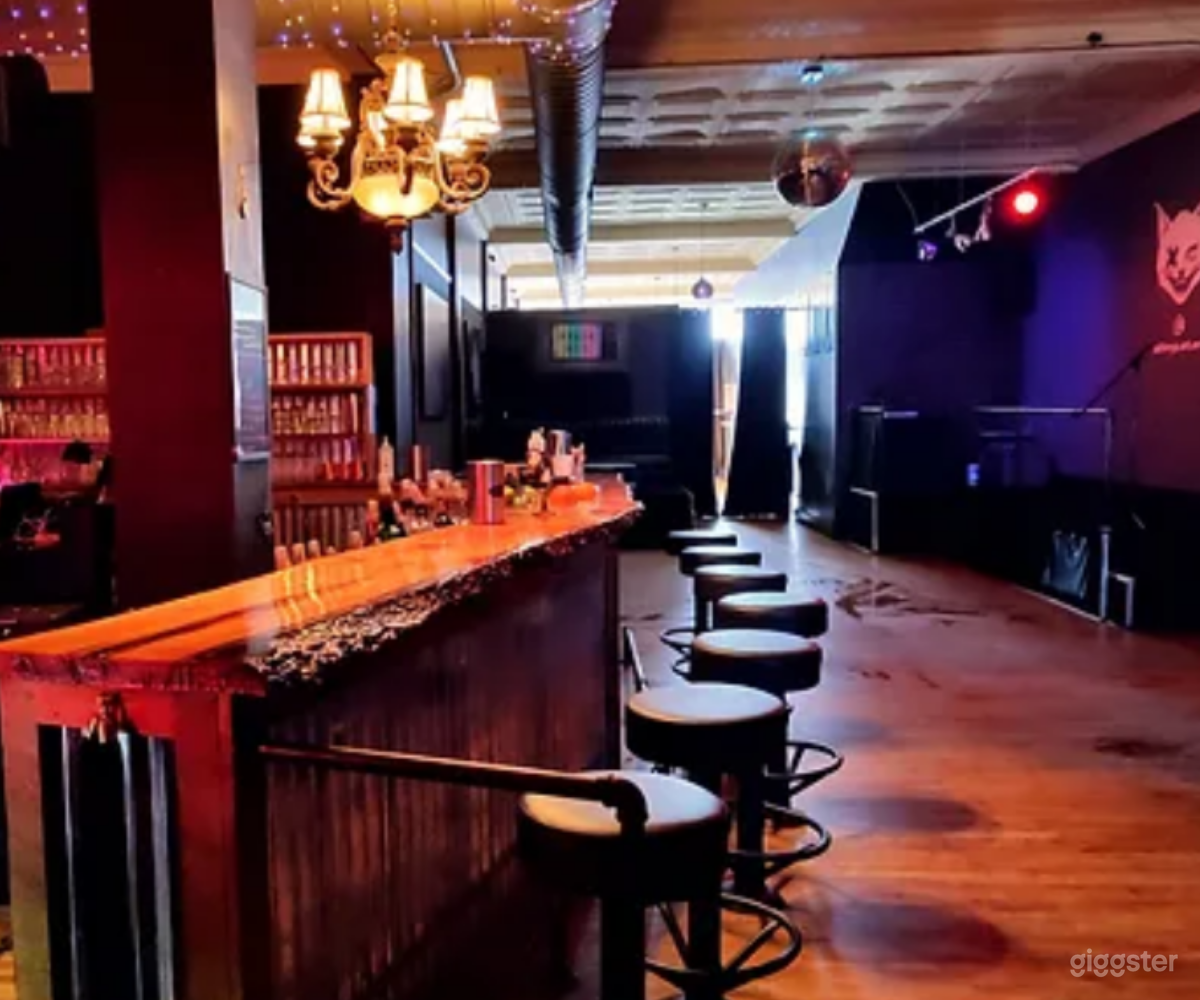 Main Bar in Alley Cat Social Club, Asheville, NC