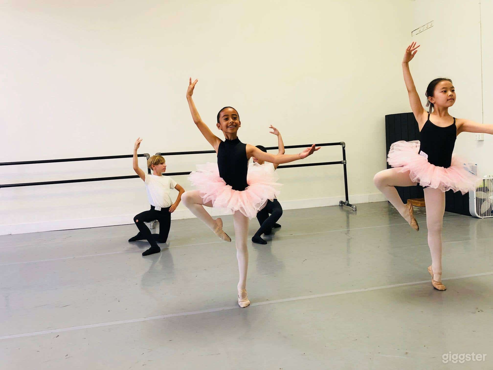 Dance Studio III in Lake Forest Photo 2