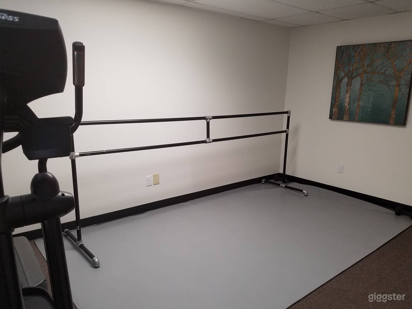 Dance Studio III in Lake Forest Photo 3