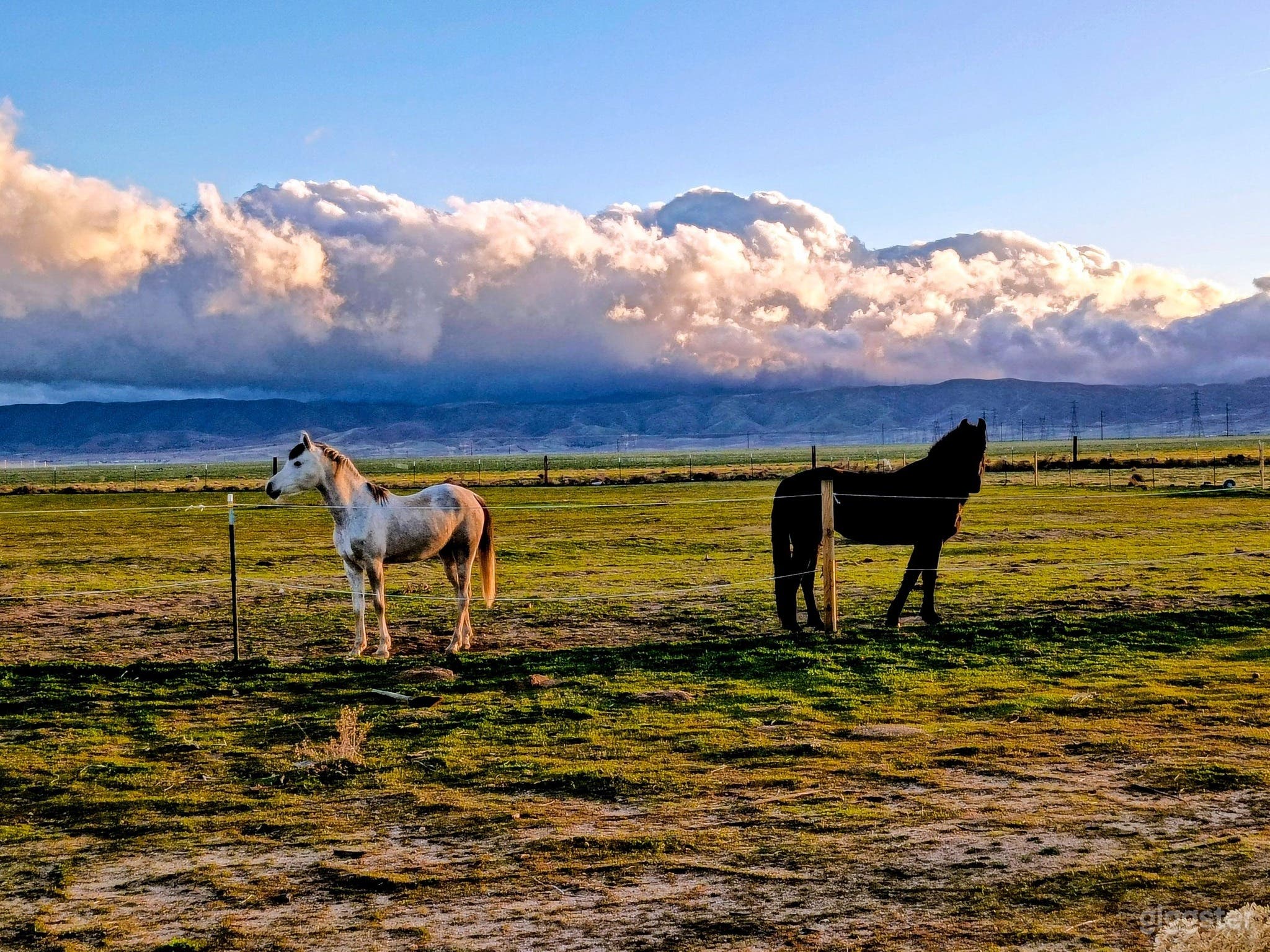 5 acre ranch currently surrounded by green pastures!! Video Photo 1