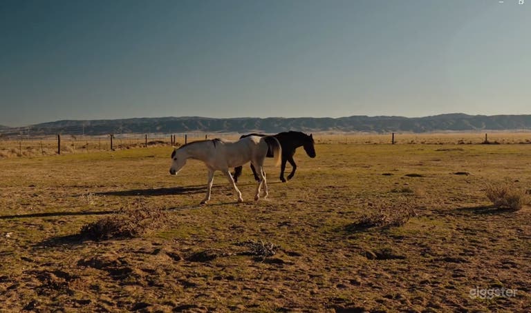  Discount to film students! Host 100. Home+ 5 acres 