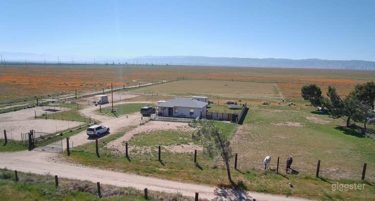  LOTS of bigger projects filmed here . Take a look! 