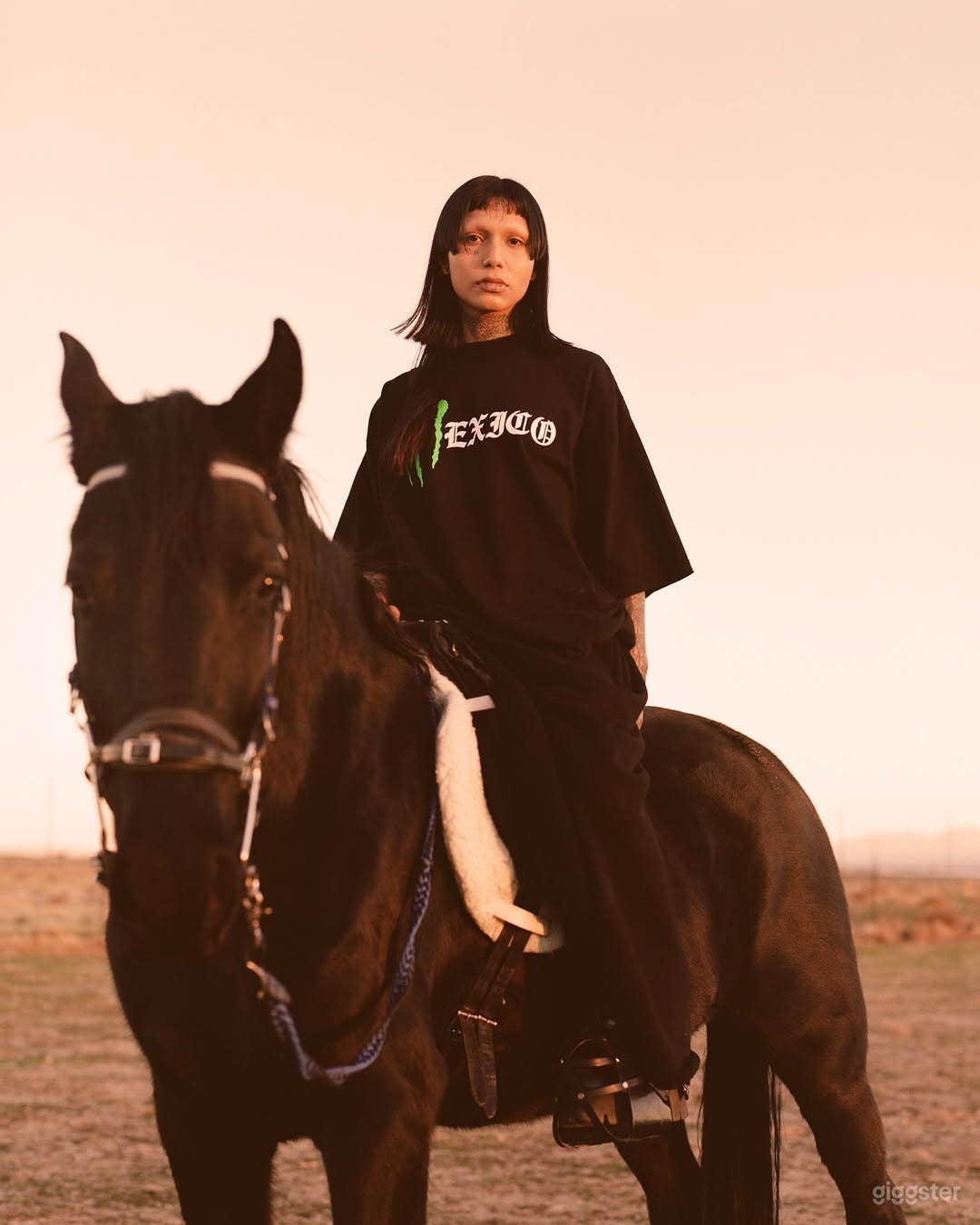 5 acre ranch currently surrounded by green pastures!! Video Photo 4