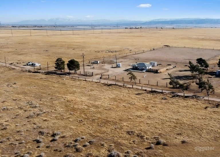  5 acre ranch currently surrounded by green pastures!! Video 