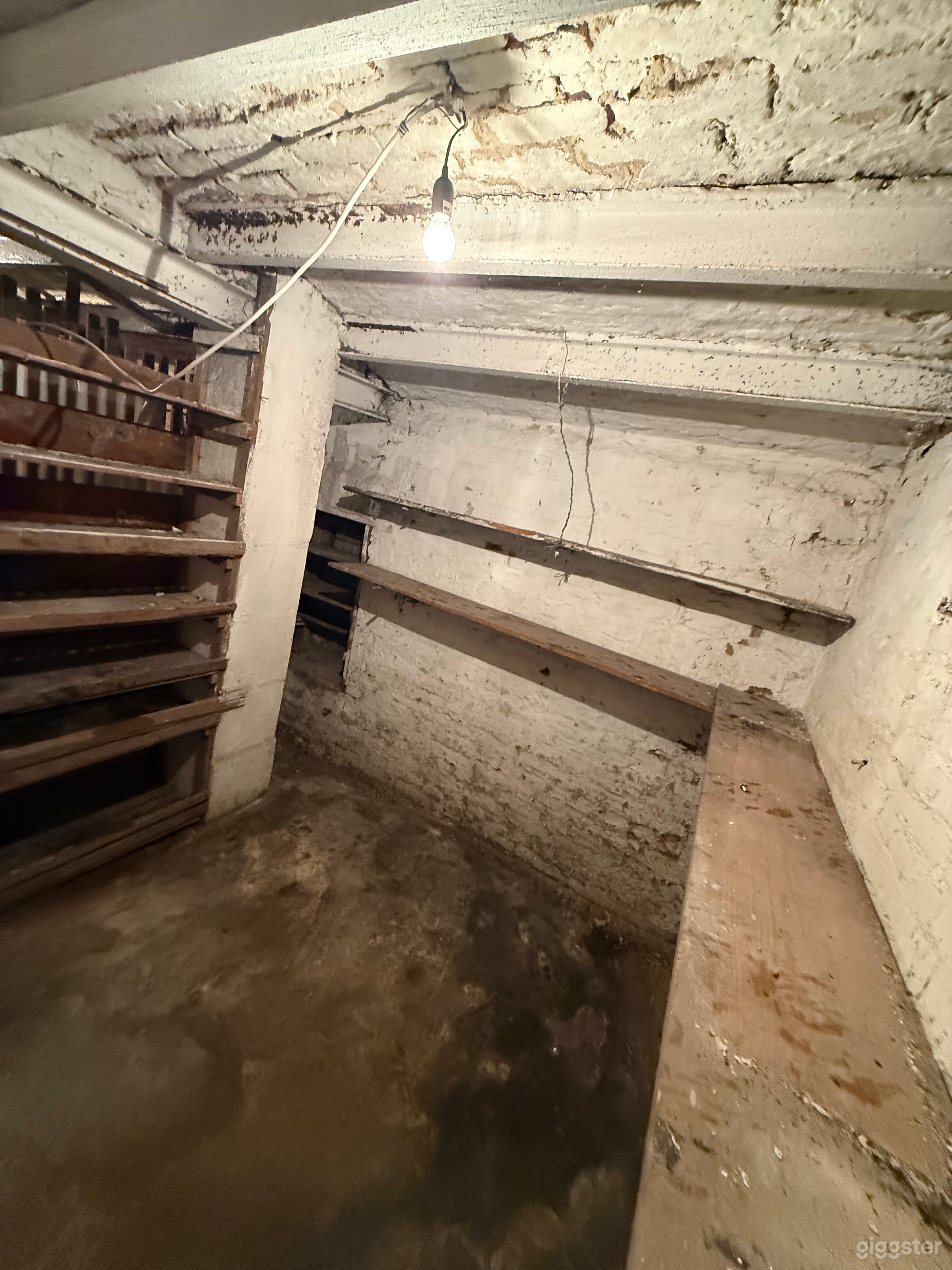 Vielseitige Film-Location: Leerstehender Keller mit 7 Räumen Foto 3