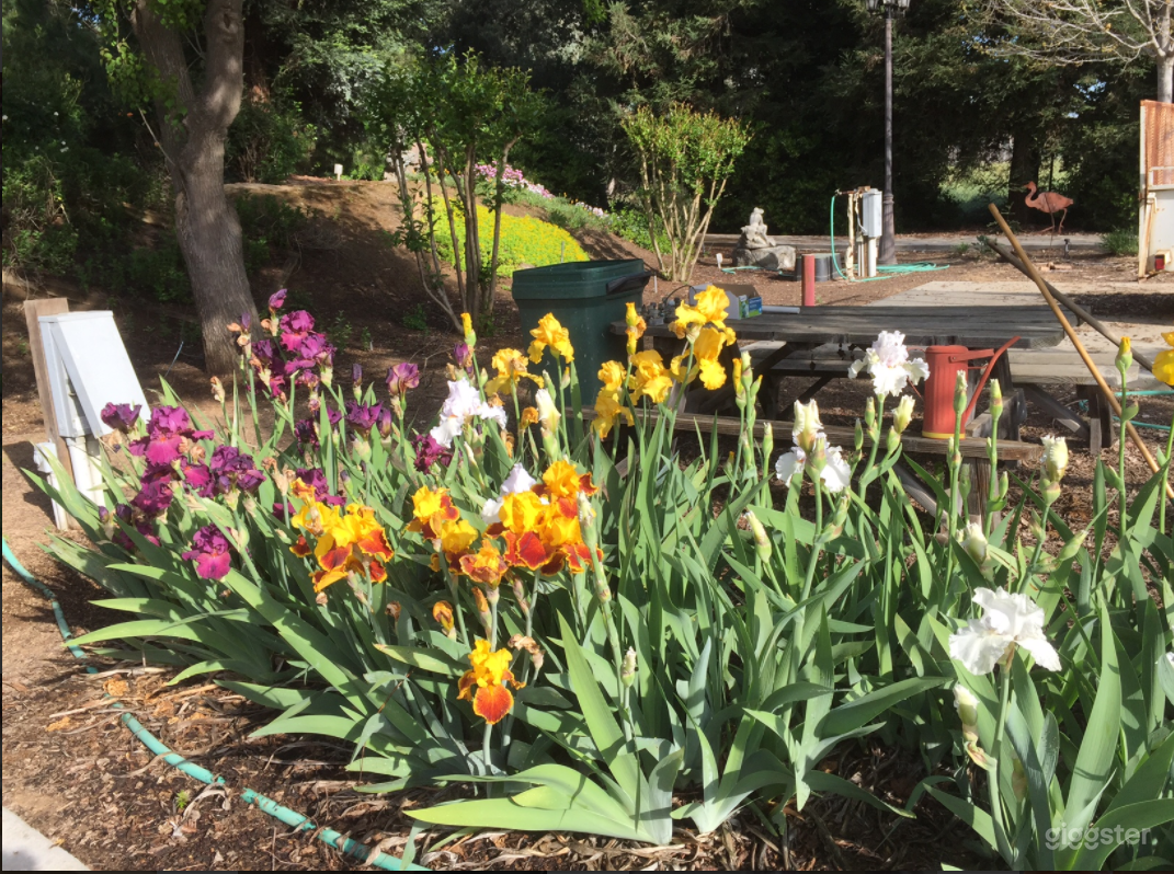 Bright and Colorful Outdoor Space for Photoshoots Photo 2