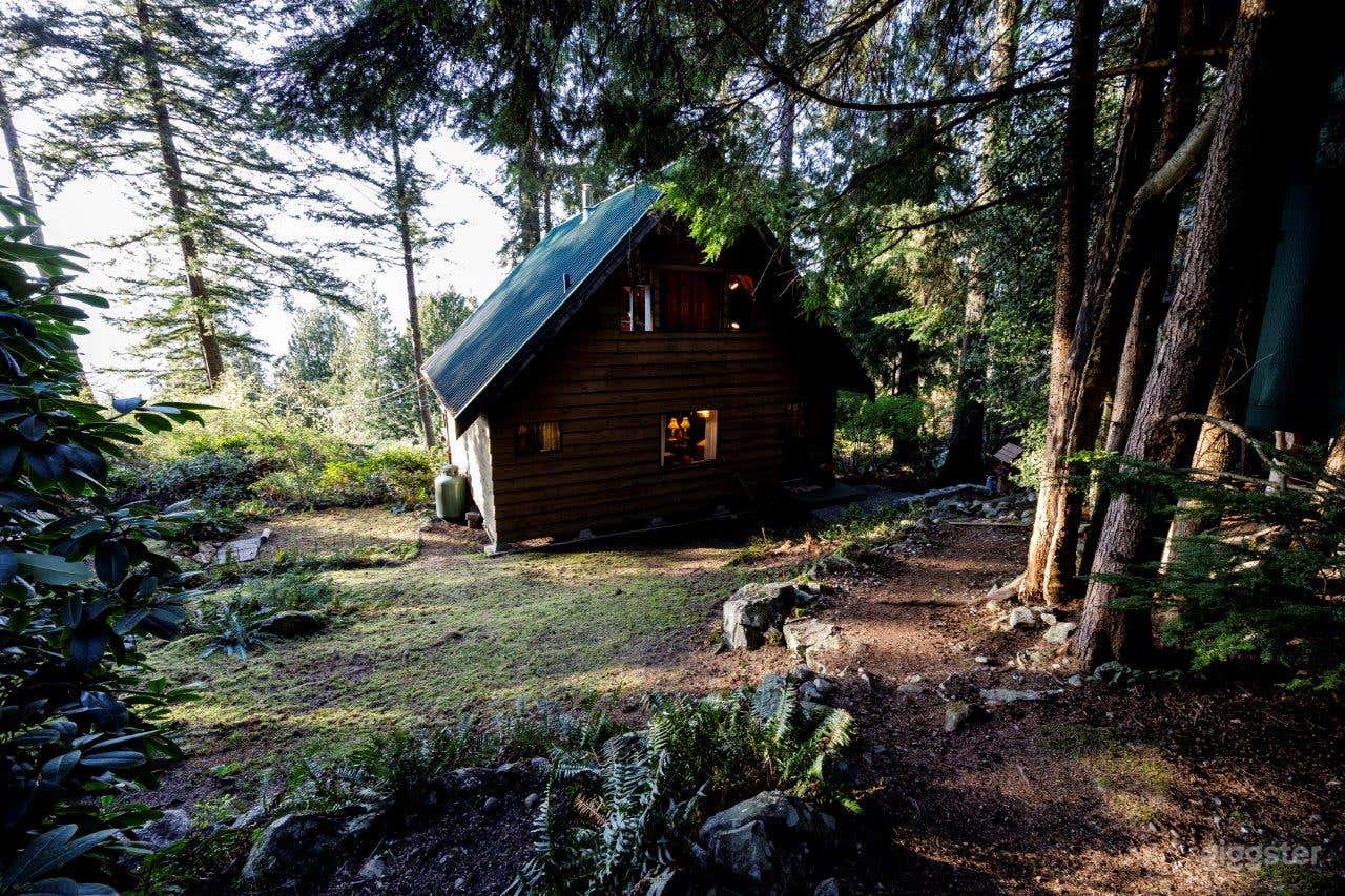 Retro 70's Cabin with Ocean Views Photo 3