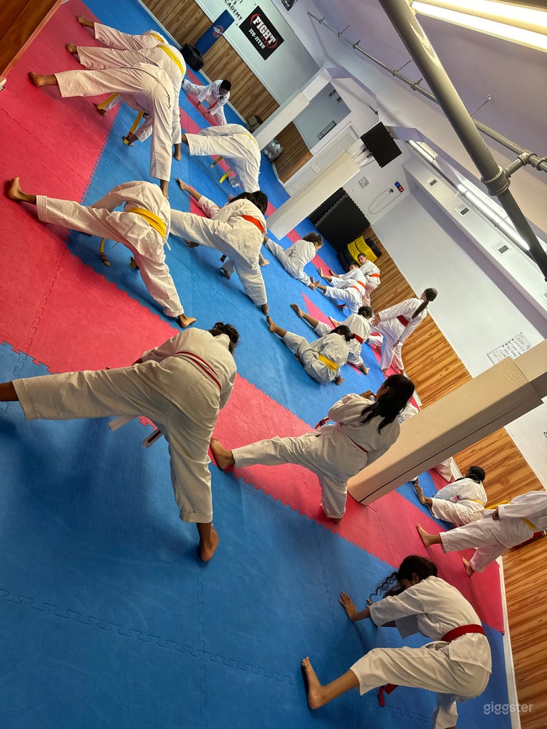  Martial arts dojo / combat sports 