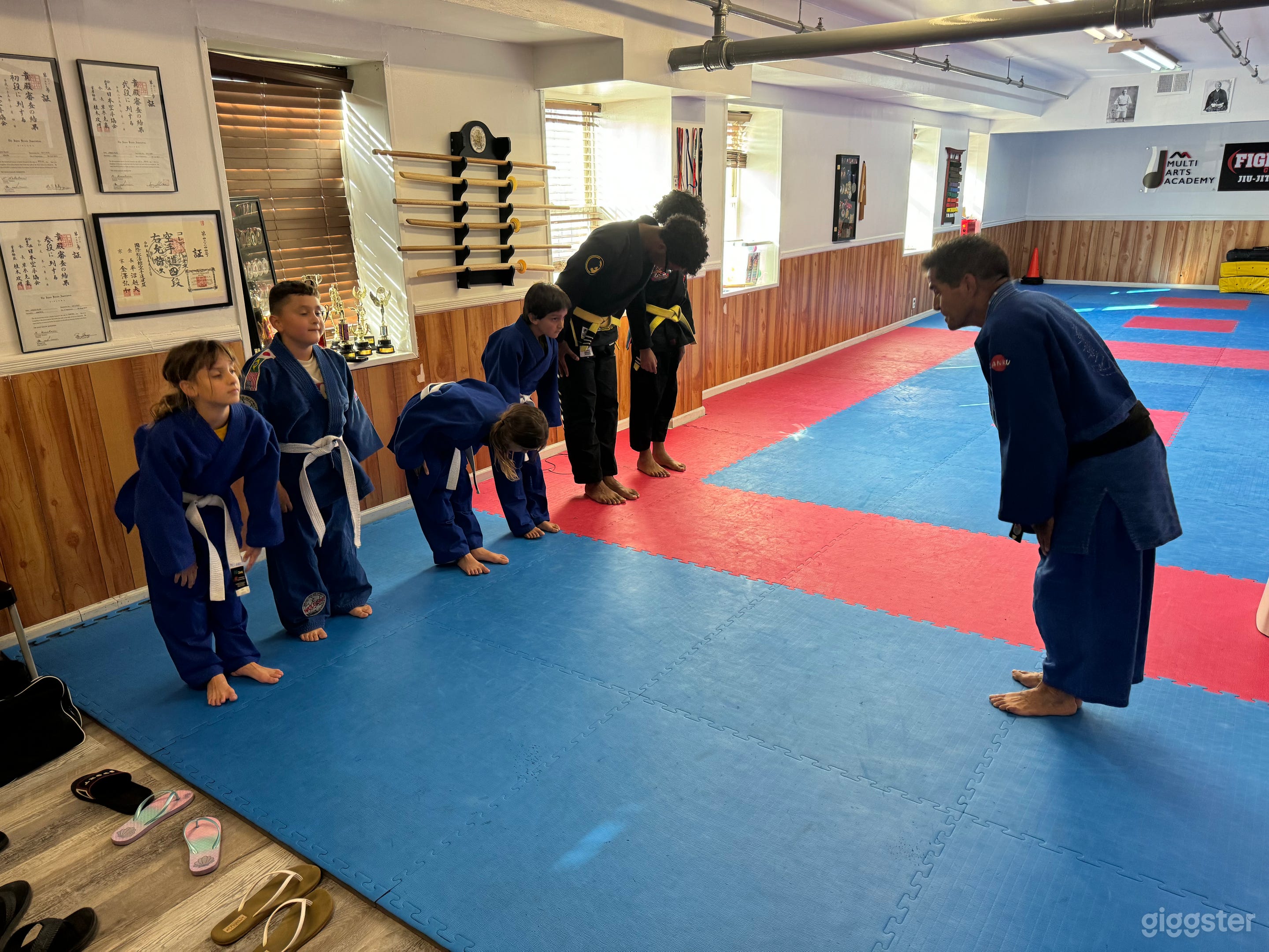 Martial arts dojo / combat sports Photo 2