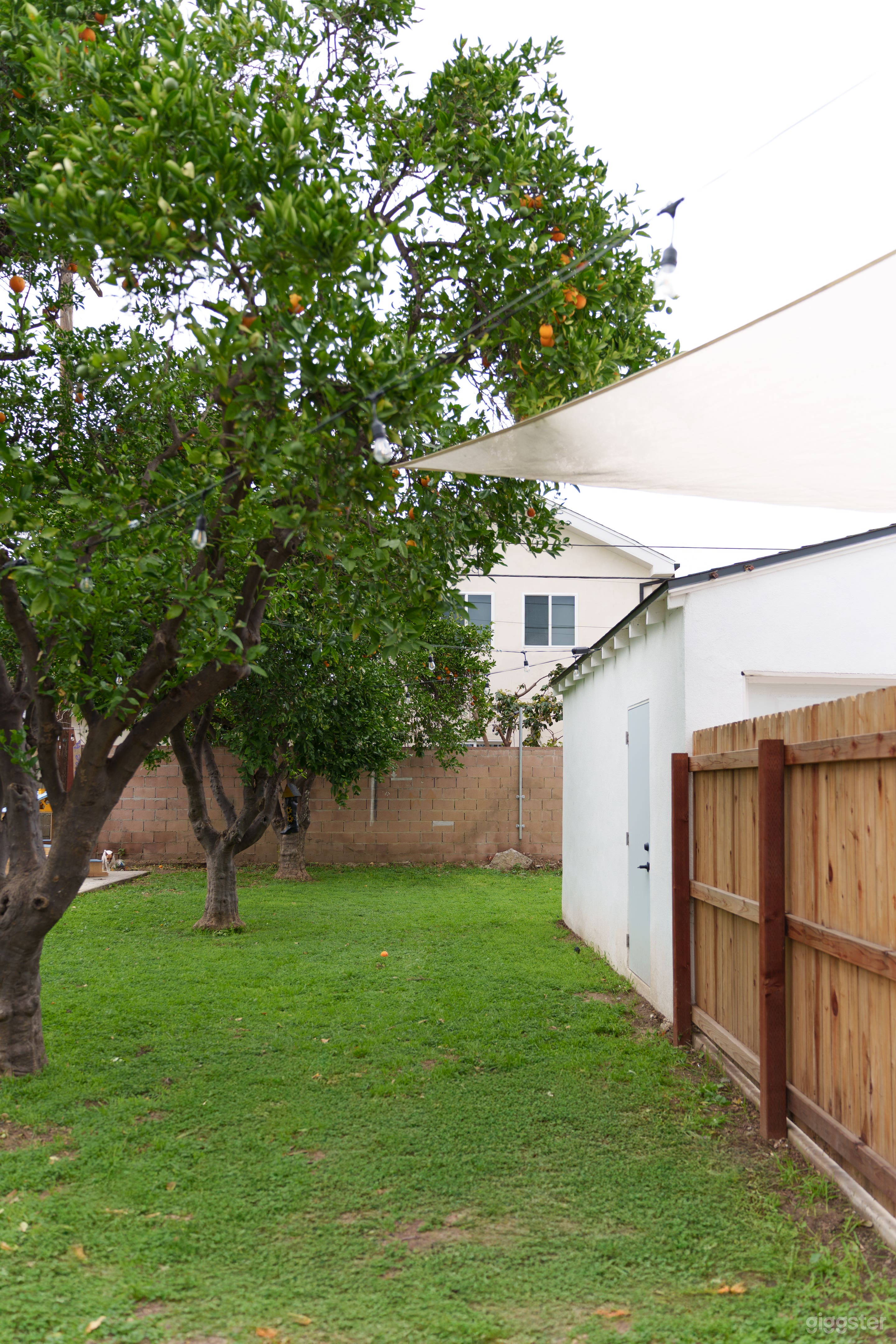 Charming 1920s SoCal Cottage with Orange Grove Photo 4