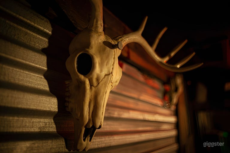  Swamp Witch Escape Room Cabin | Cinematic Production Set 