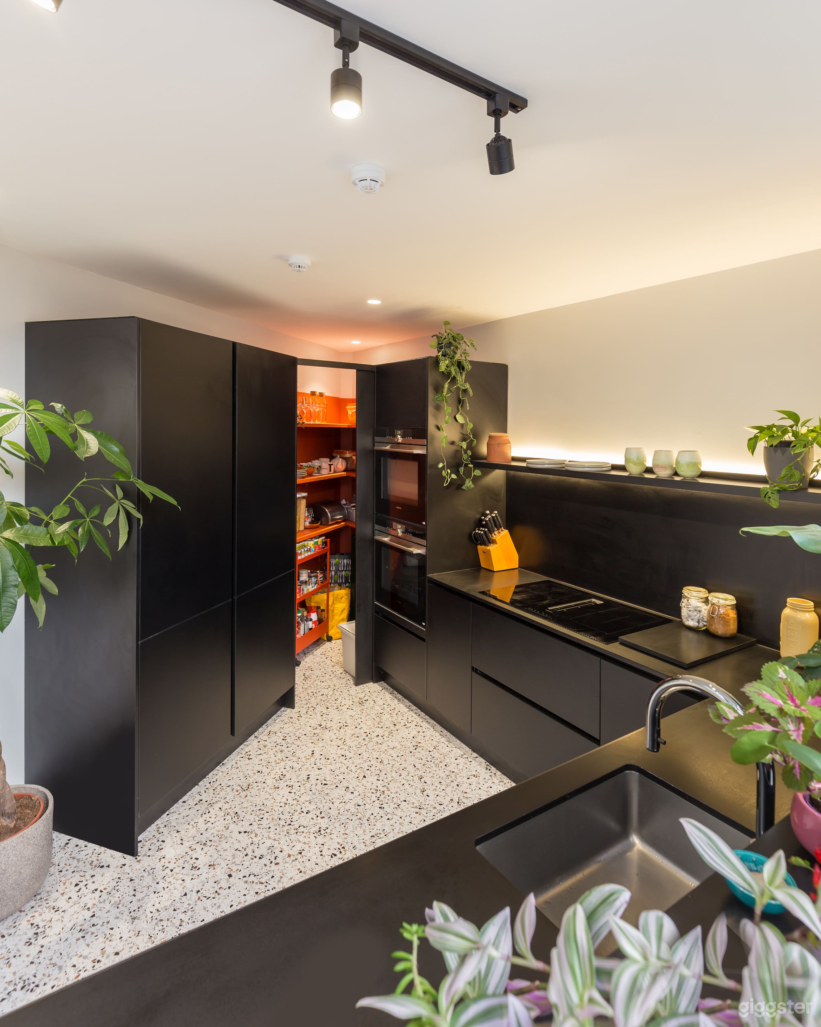 Home with Unique Sunken Kitchen +Private Courtyard Photo 4