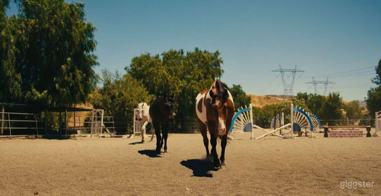 Perfect open space to play volleyball! Photo 2