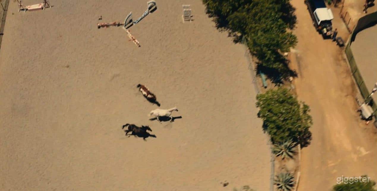 Perfect open space to play volleyball! Photo 4