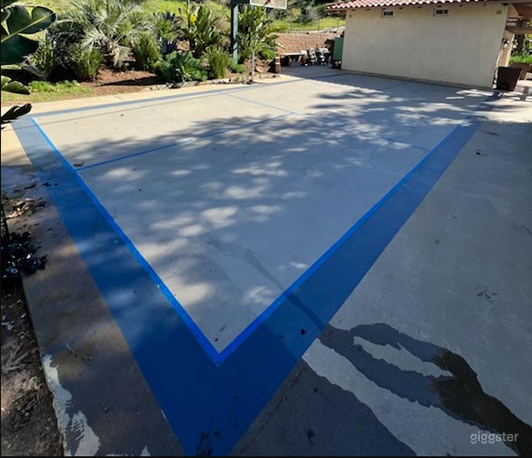  Fantastic Pickleball Court 