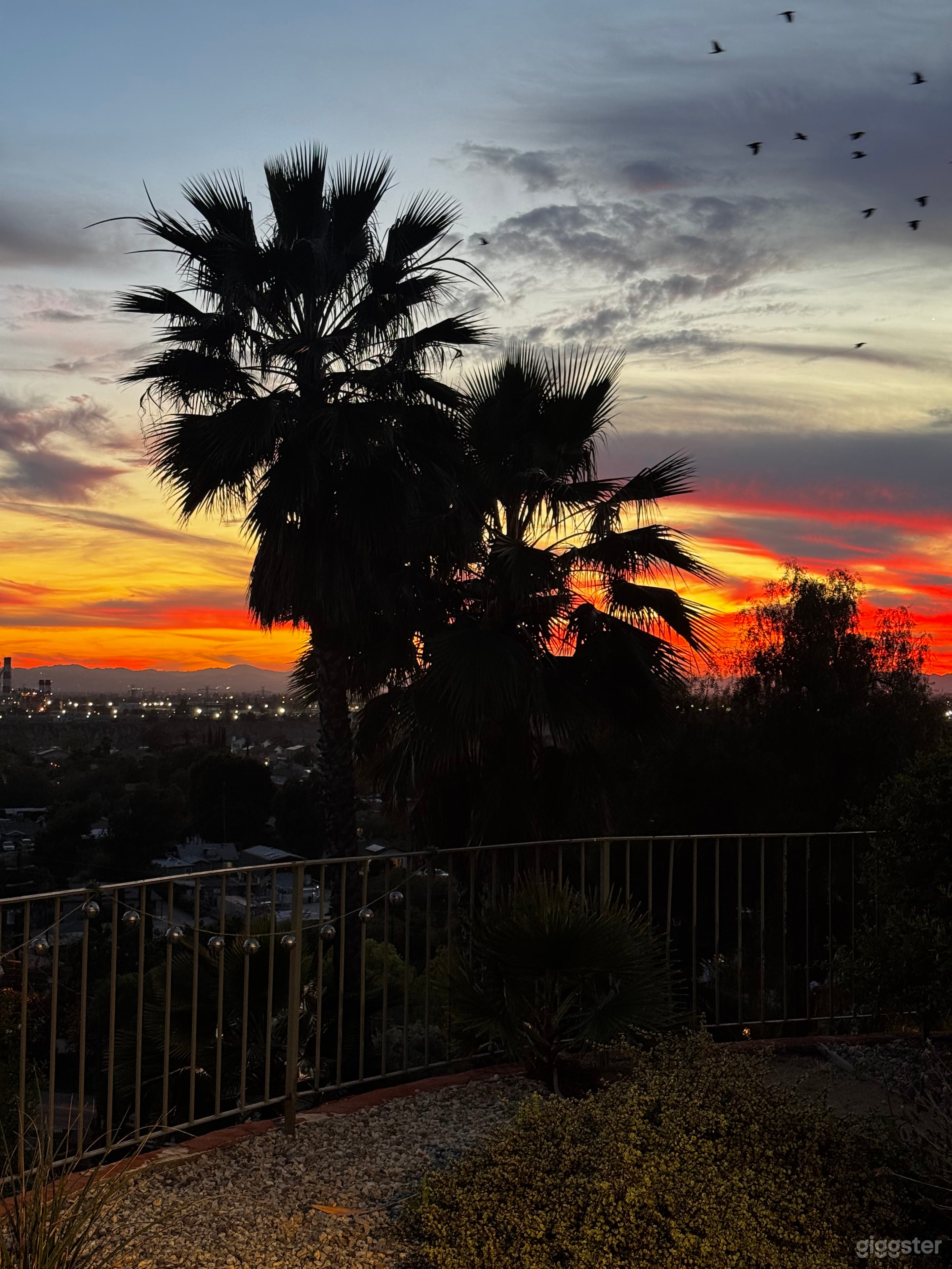 Dreamy Backyard & Scenic Views for Film + Photo Shoots Photo 4