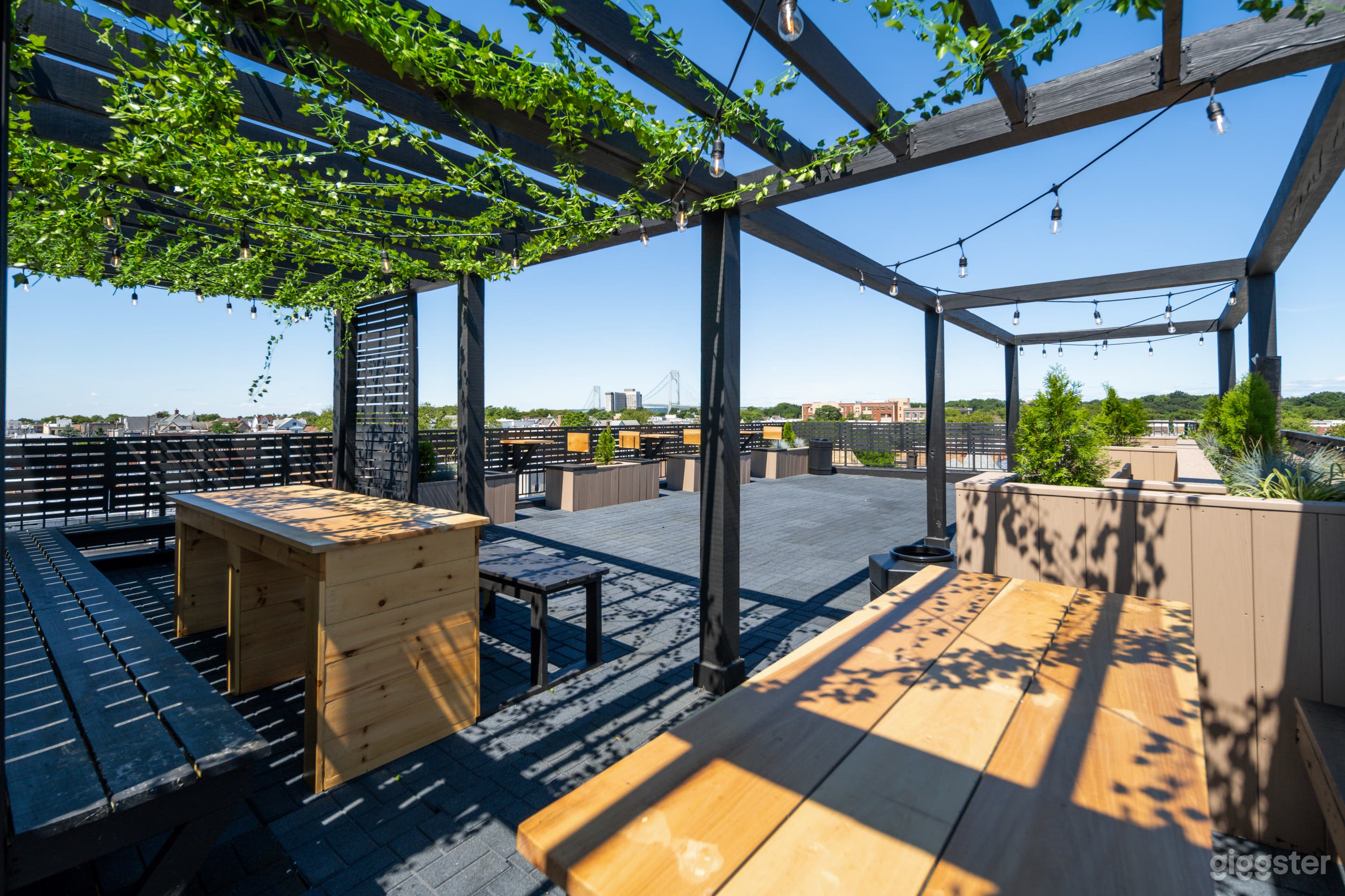Unique Propsal Rooftop With NYC Skyline View Photo 1