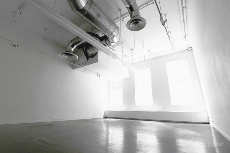  Soho Penthouse Factory-Retail Store & Penthouse Buyout 