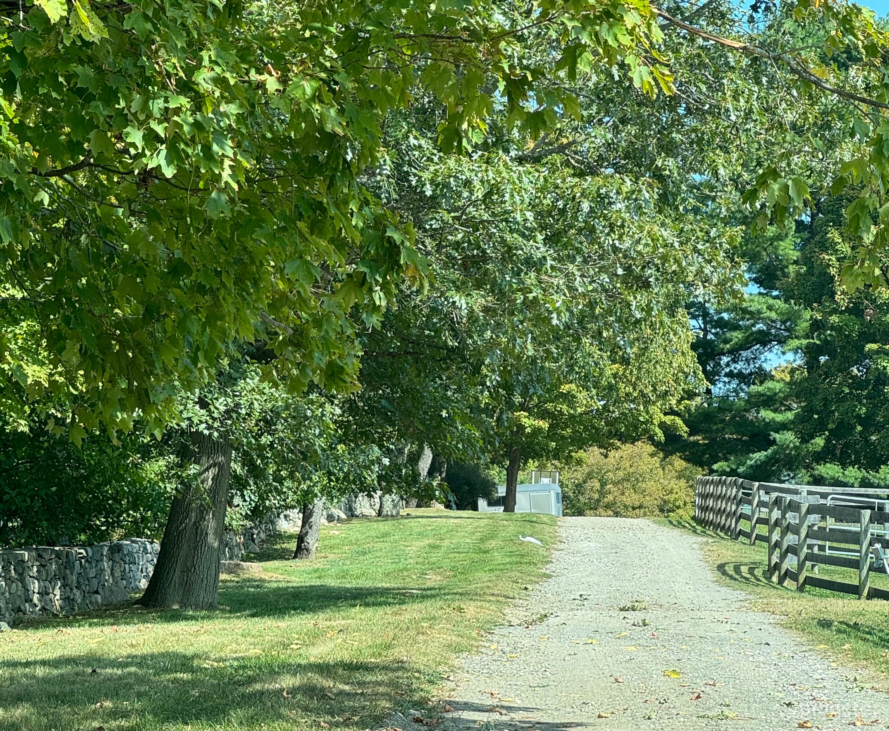 Wooded walking/bridle trails in Equestrian Estate Photo 1