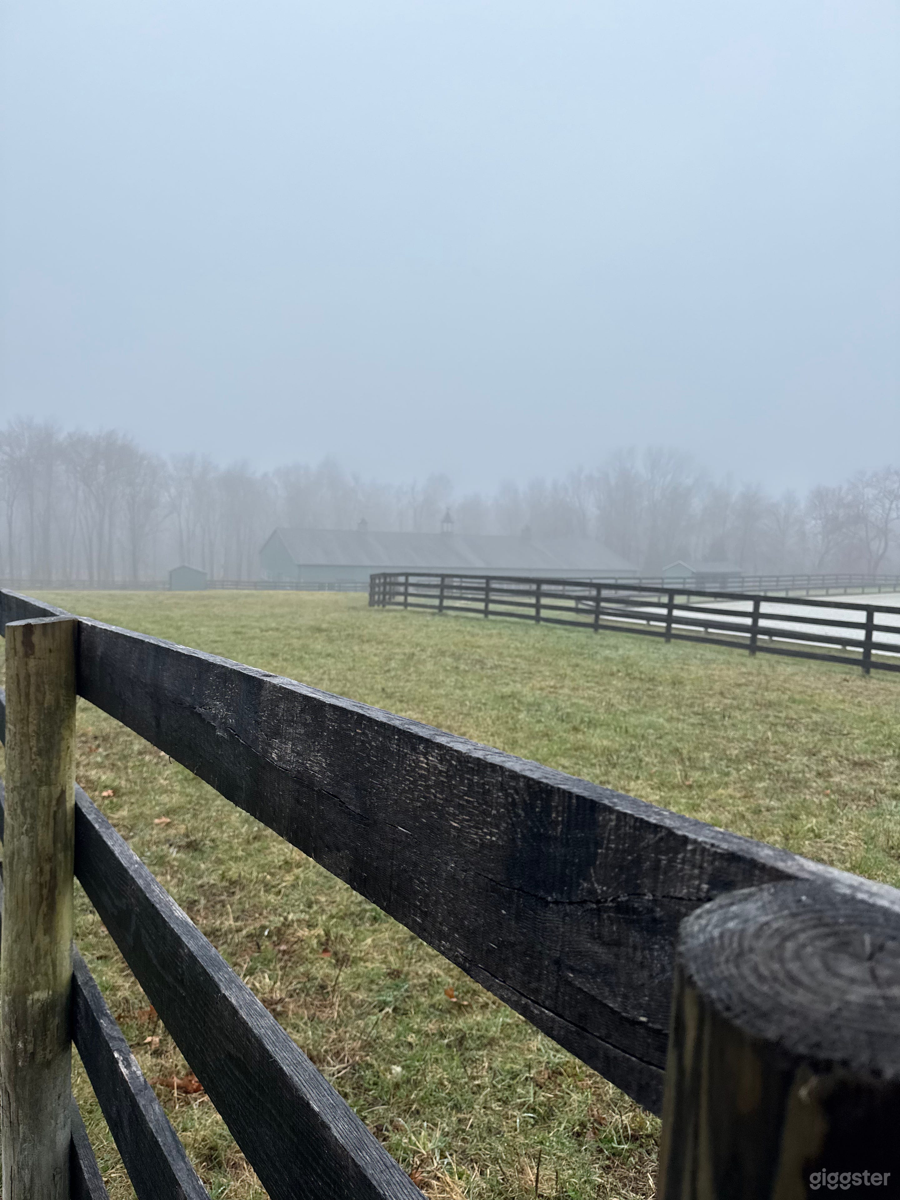 Wooded walking/bridle trails in Equestrian Estate Photo 2