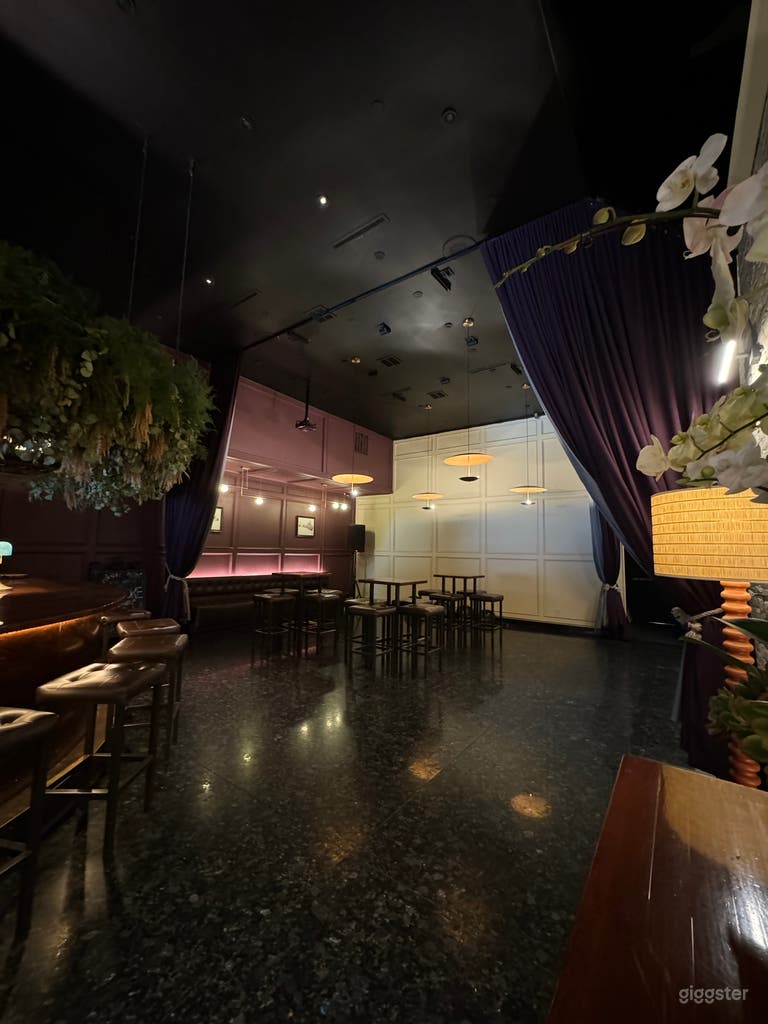  Classic, Beautiful Bar for Films and Photography 