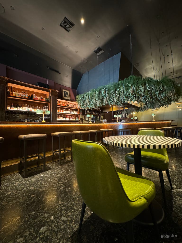  Classic, Beautiful Bar for Films and Photography 