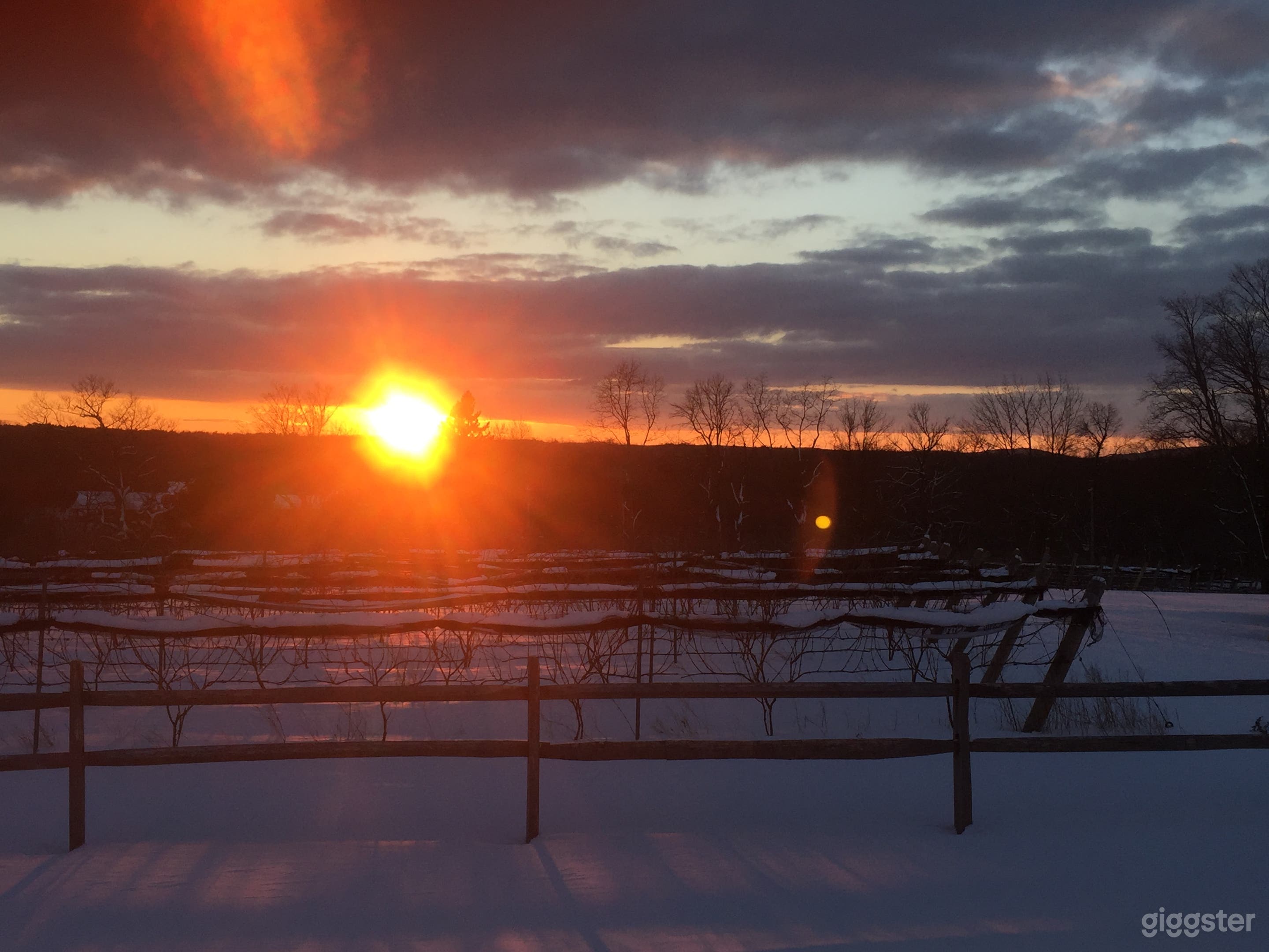 Sunset over vineyard