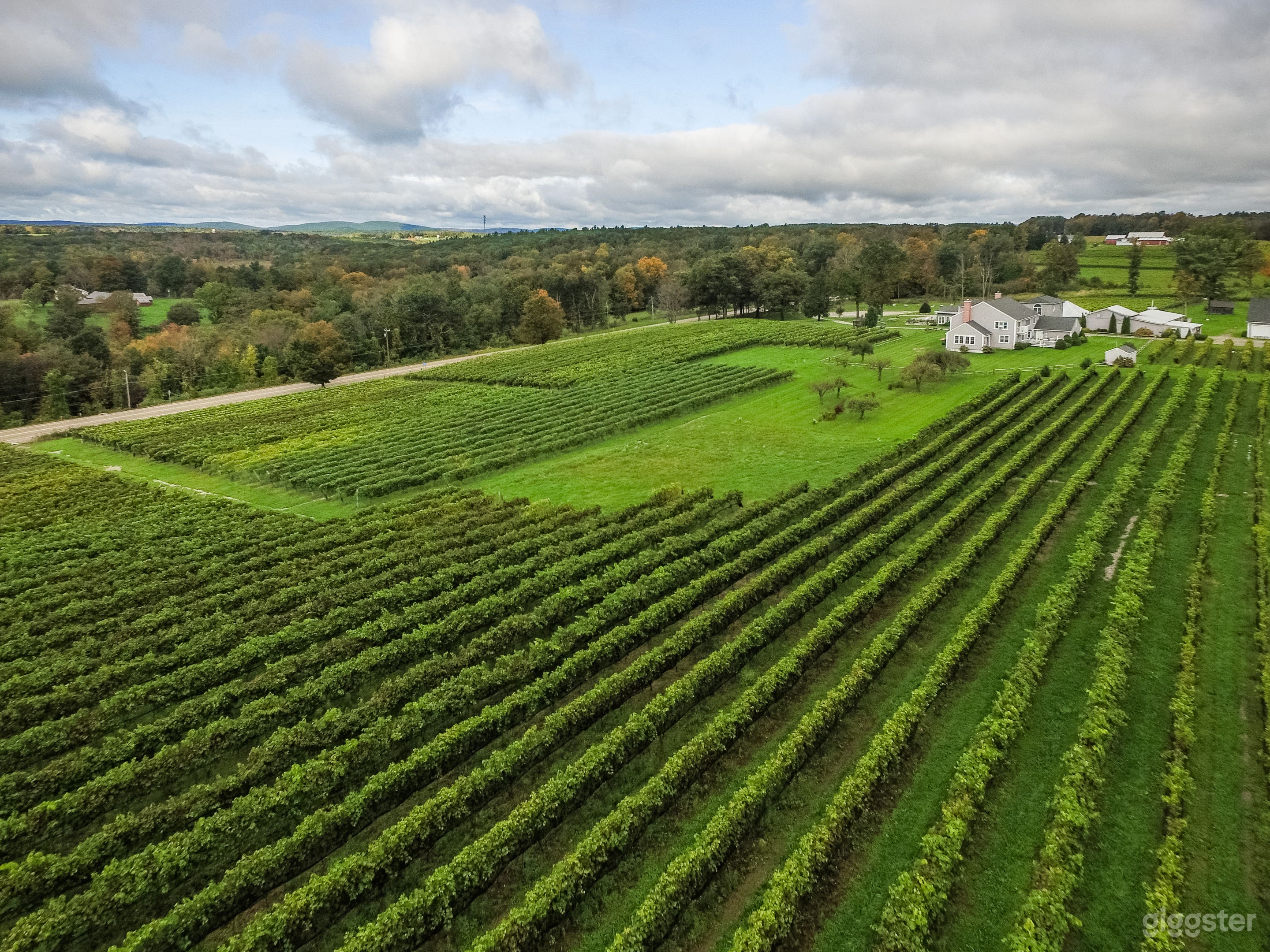 Estate Vineyard Aerial View 40+ Acres