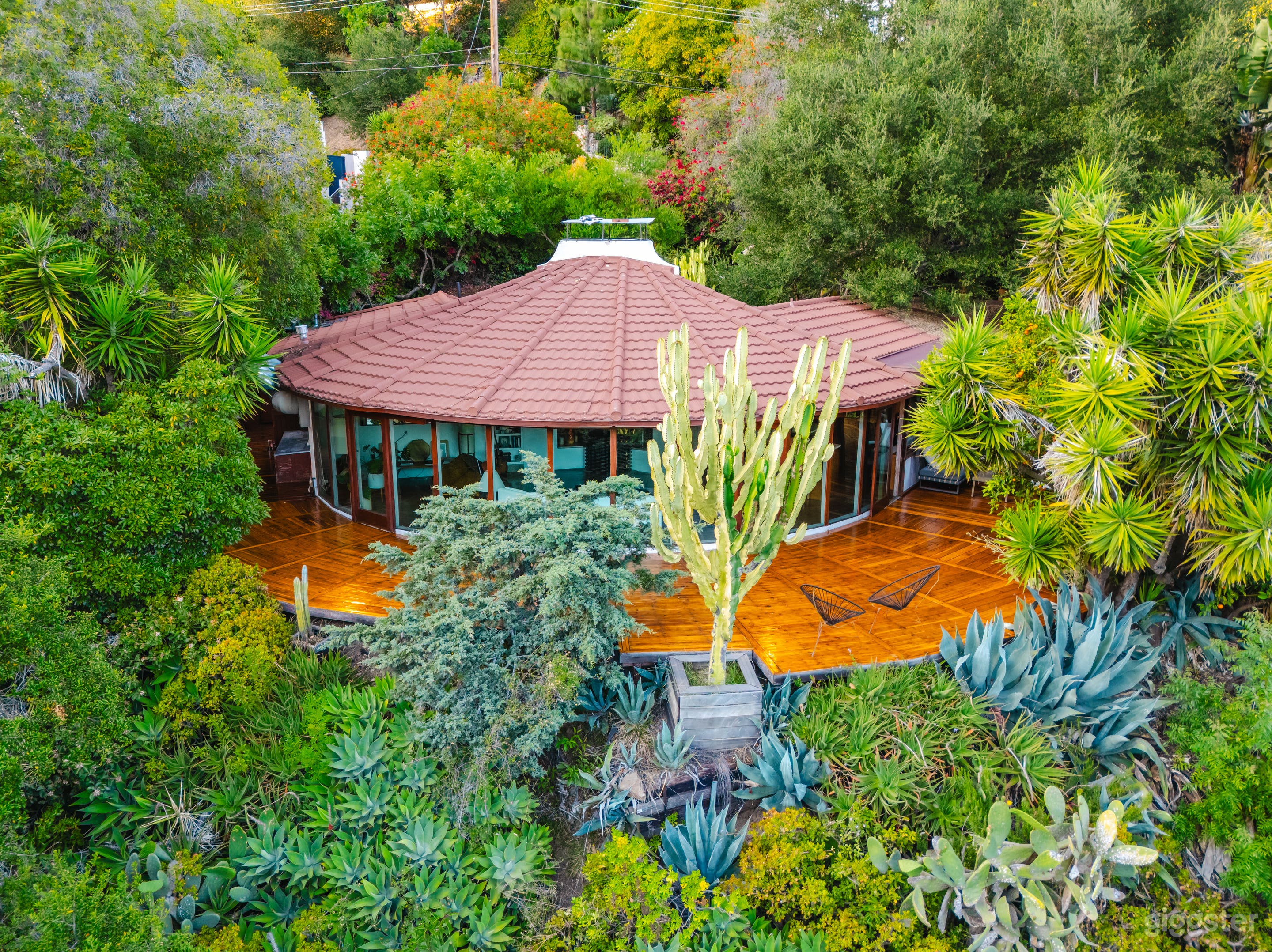 CANYON WRAP MID-CENTURY TREEHOUSE Photo 4