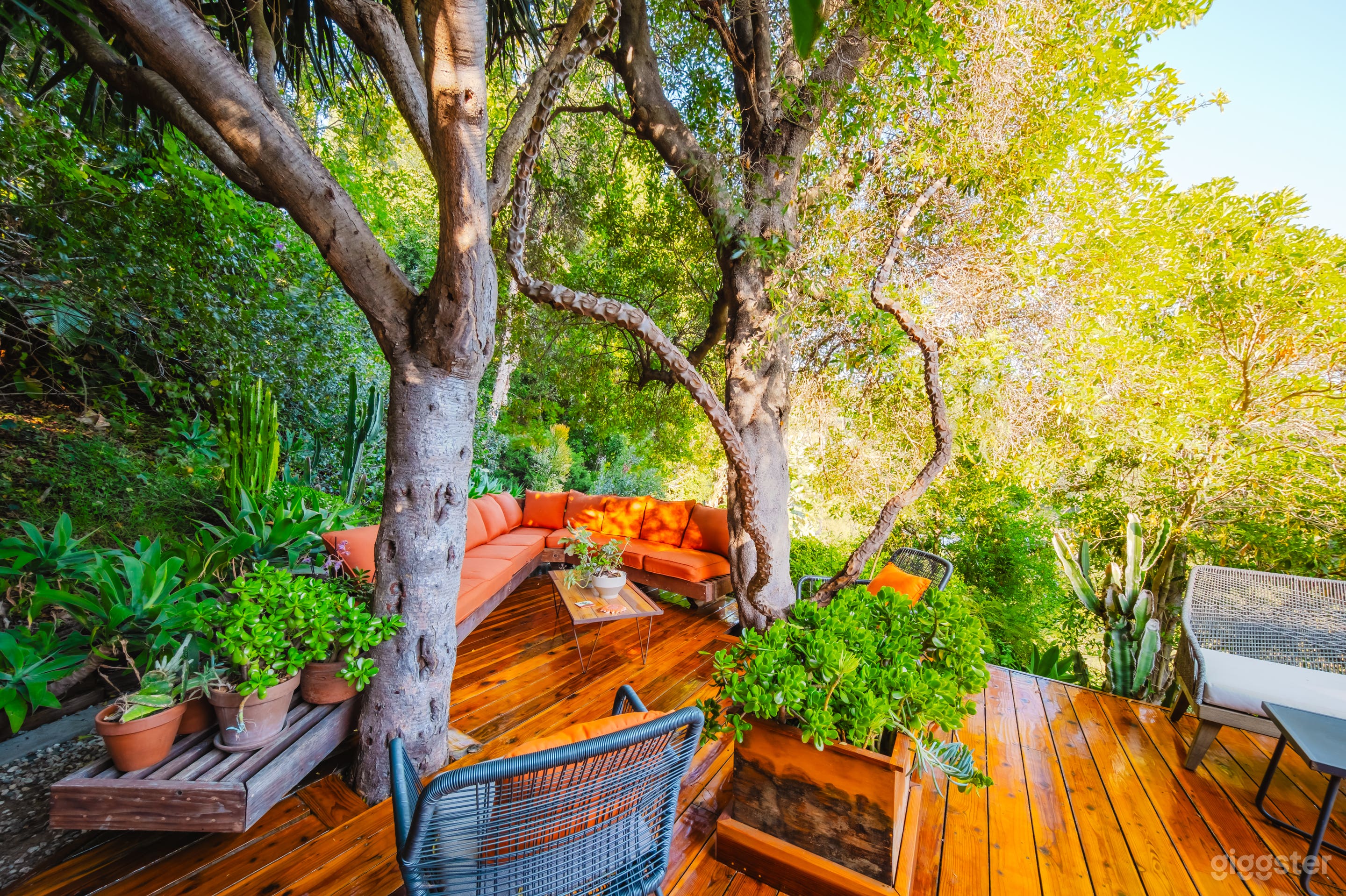 CANYON WRAP MID-CENTURY TREEHOUSE Photo 3