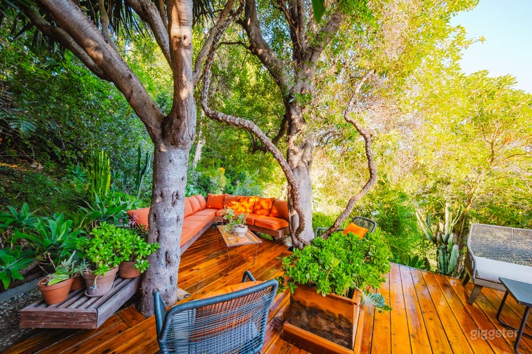  CABAÑA EN EL ÁRBOL DE MEDIADOS DE SIGLO EN EL CAÑÓN 