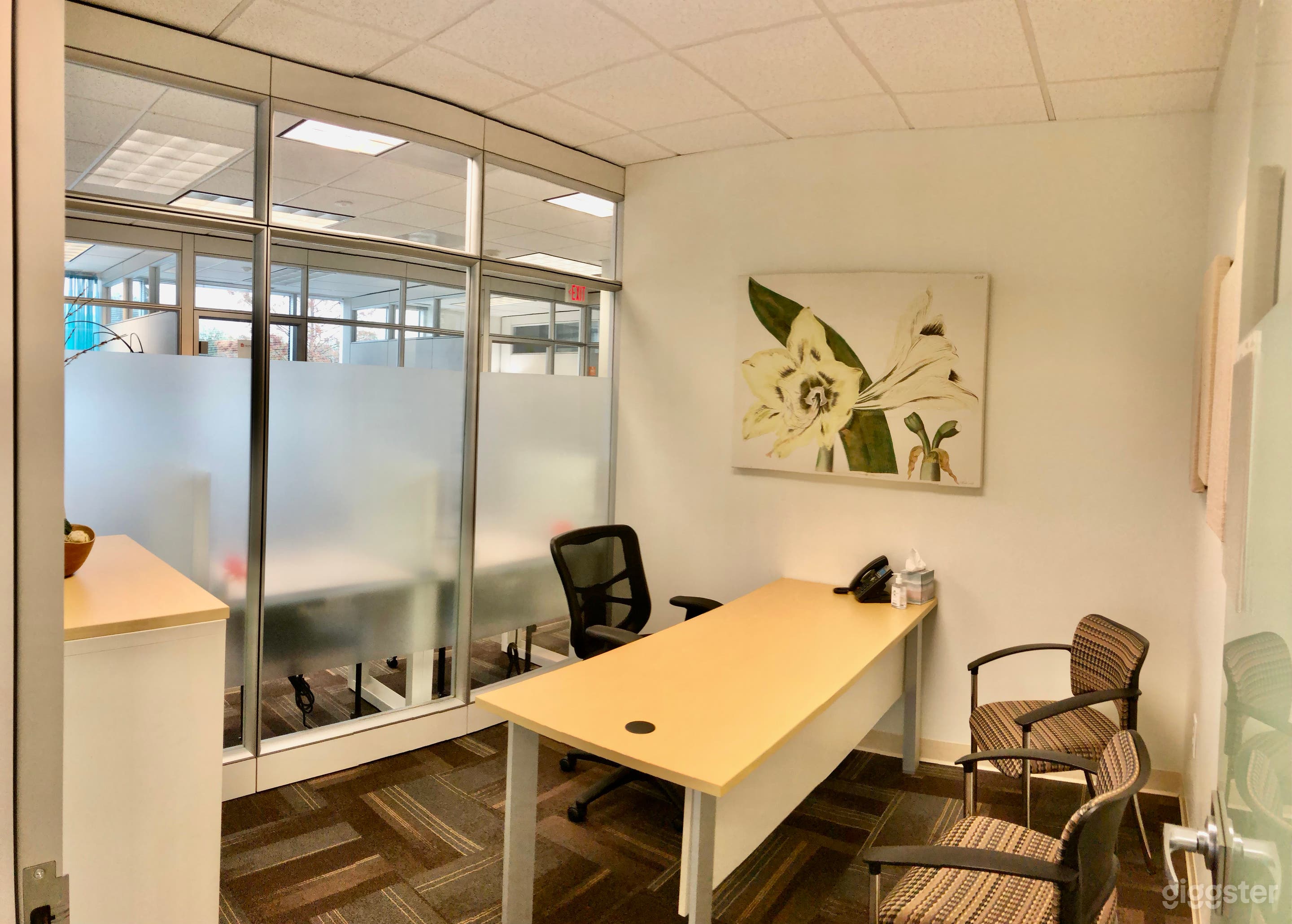 Interior office
guest chairs
2 glass walls
2 sheetrock walls