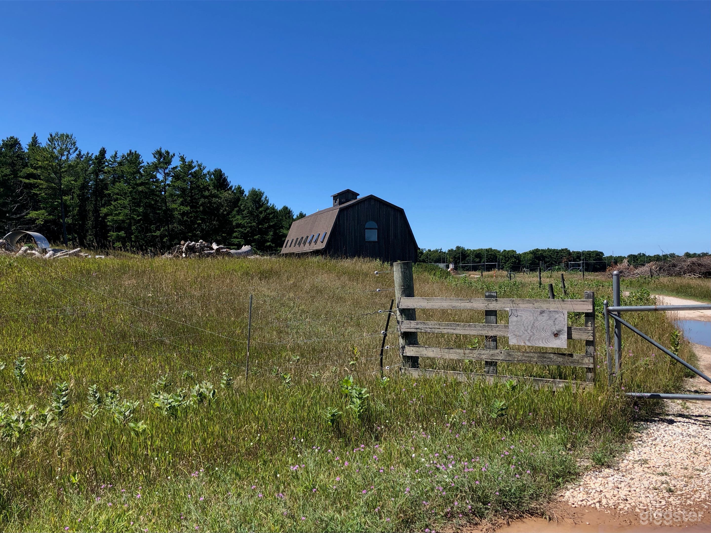 West Farm. Looking west barn summer far