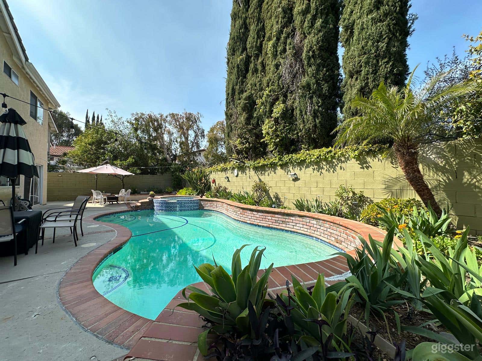 American Brightlight Film Productions Photo 1