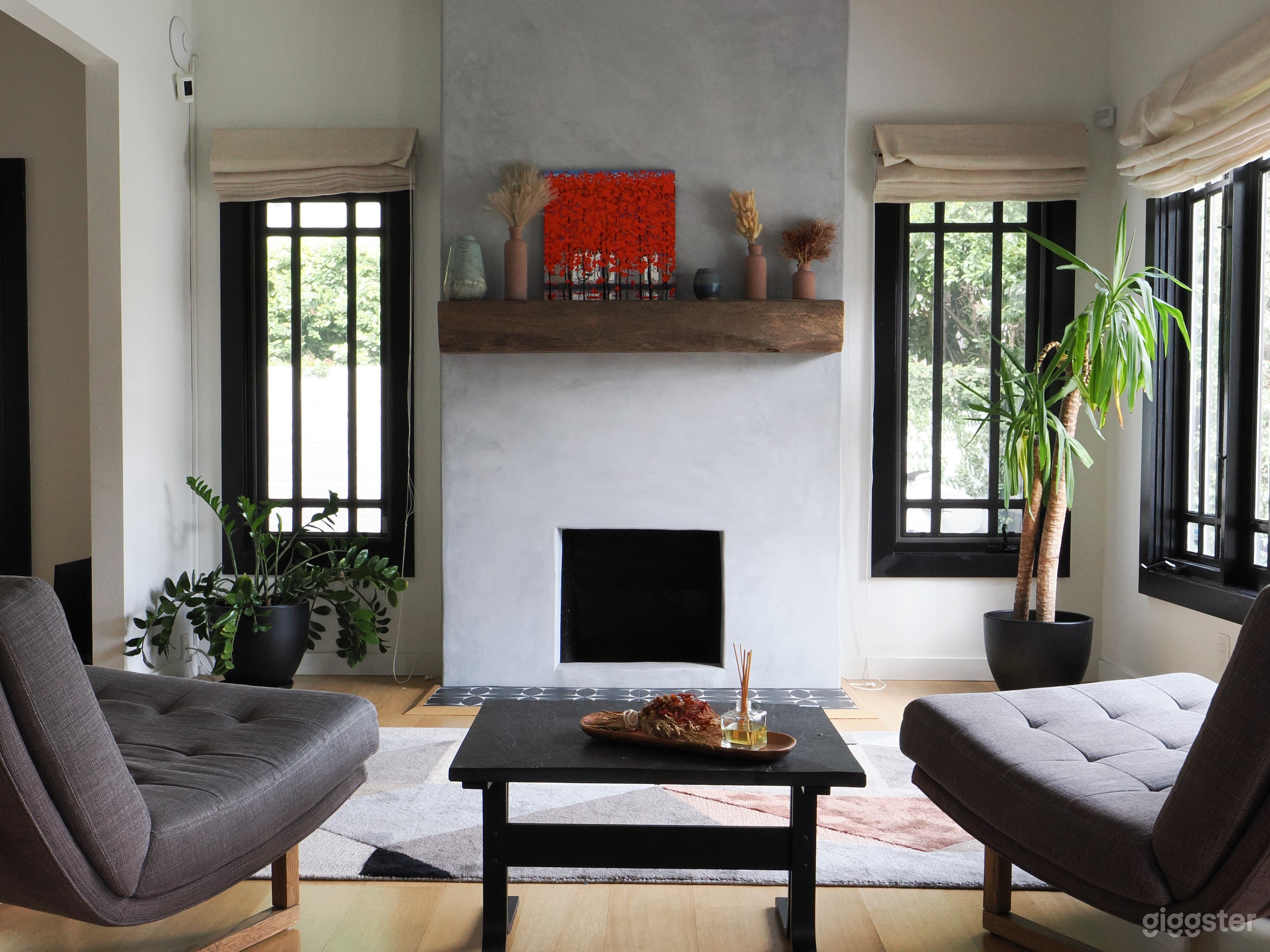 Modern Venice Beach Vintage Designer Home Photo 2