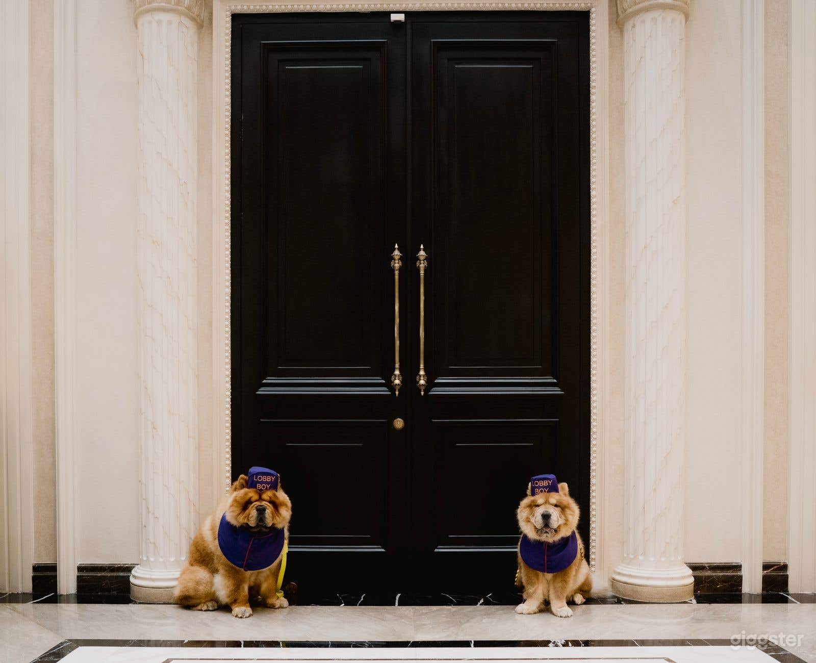 1200 sqm Neoclassical House Photoshoots &amp; Filming Photo 3